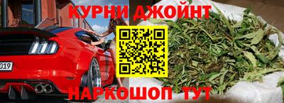 МДПВ Кингисепп
