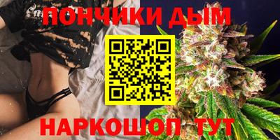 МДПВ Кингисепп