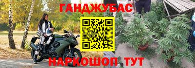 МДПВ Кингисепп