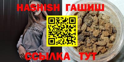 МДПВ Кингисепп